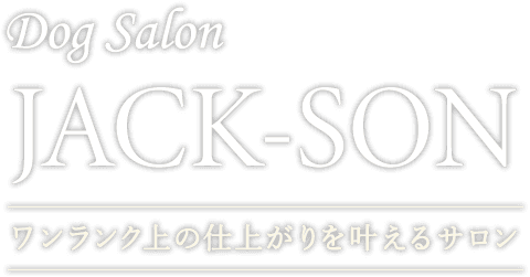 Dog Salon JACK-SON ワンランク上の仕上がりを叶えるサロン